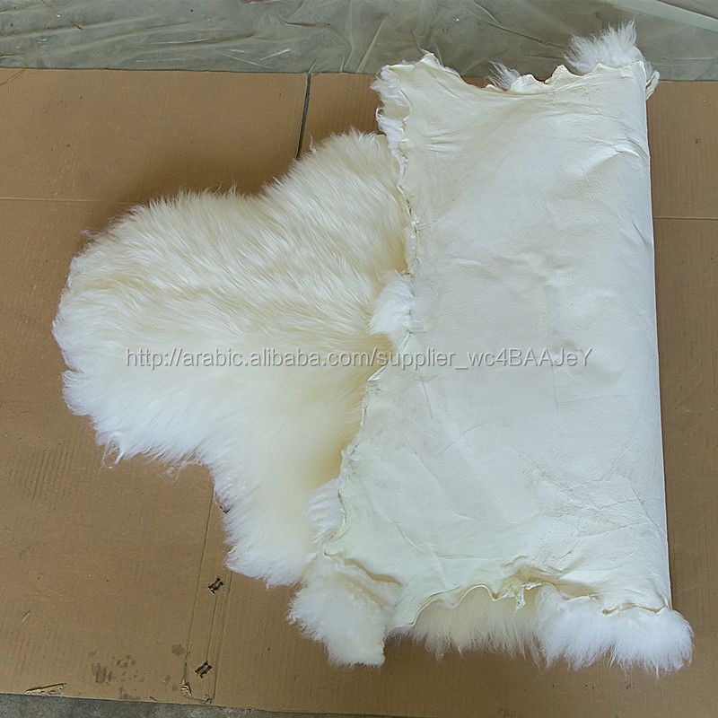 ترويج لمشغل الموسيقى Arabic تسوق على الانترنت لمشغلات موسيقى Arabic ترويجية دباغة جلد الغنم Alibaba Com