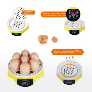 Mini-incubateurs HHD super mignons pour l'éclosion de 7 œufs, bon équipement pour les poulets, jouets éducatifs - Product Image 2