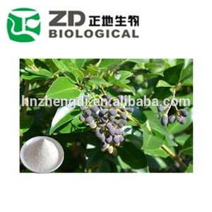 De alta calidad <span class=keywords><strong>ligustrum</strong></span> lucidum polvo/brillante privet extracto de fruta en la venta - Product Image 1