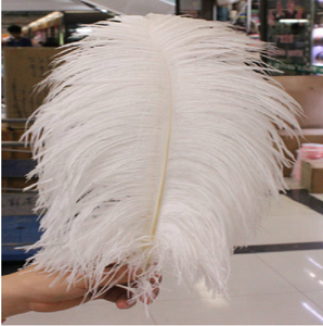 Lễ Hội Trang Trí Đám Cưới Giá Rẻ Trắng Đà Điểu Lông - Product Image 3