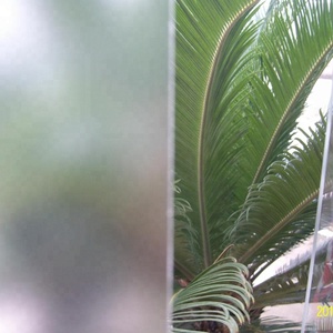 Glossy <strong>matte</strong> embossed frost anti glare anti reflation satin <strong>pet</strong> petg polycarbonate <strong>sheet</strong> - Product Image 6