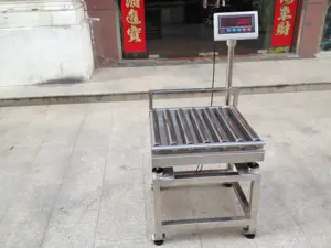 100kg Weighing Scale Platform Alarm Static Checkweigher Roller Scale Price