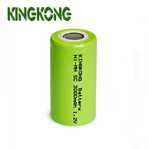 Ni-mh ricaricabile Dimensione D 10000mAh batteria