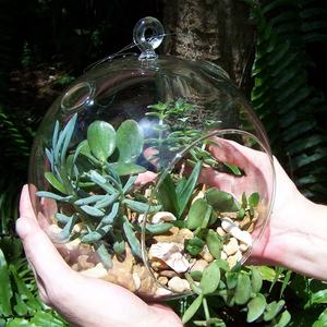Globes de verre suspendus, plante d'<span class=keywords><strong>air</strong></span>, Terrarium pour décoration de maison - Product Image 1