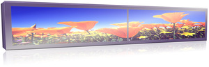 10 "in-ch Video LCD et g touche si r st Ri p Jigita l Oh; d ve r § y st Ri p Ikekokoro g Dji si r - Product Image 5