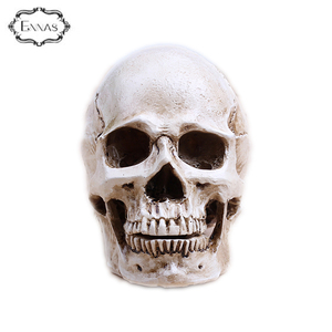 Polyresin Personalizado Animal Cabeza Del Cráneo, Resina de Halloween Cráneo Dirige - Product Image 3