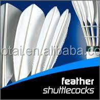 Volant de badminton d'oie de haute qualité, 12 pièces, volant en plumes d'oie - Product Image 5