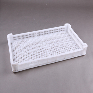 Hot sale PP/PE material frozen tray ventilated plastic stackable drying tray