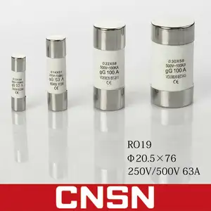 RO19 63A Cylindrical Quick Fuse Links