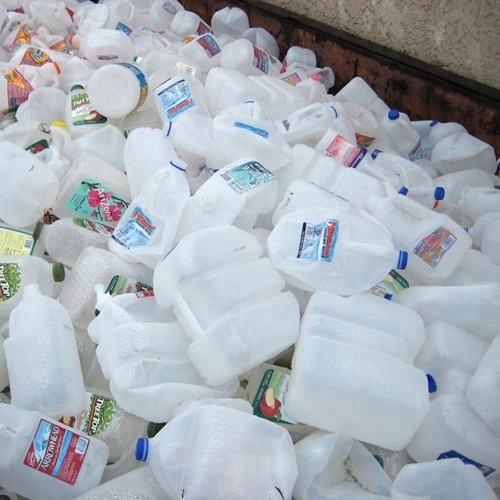 HDPE Flakes/ HDPE Milk Bottle Scrap