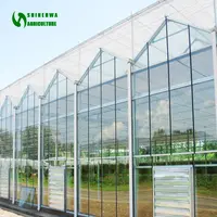 Rumah Kaca Multi-Span Rumah Kaca Pertanian Rumah Hijau dengan Kit Sistem Penumbuh Hidroponik Pertanian Cerdas