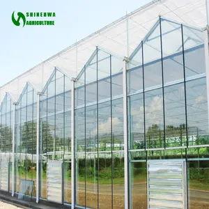kaca rumah pertanian Suppliers-Rumah Kaca Multi-Span Rumah Kaca Pertanian Rumah Hijau dengan Kit Sistem Penumbuh Hidroponik Pertanian Cerdas