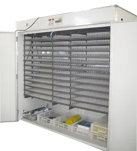 Promotional Price Large 5000 Egg Incubator For Sale In Chennai