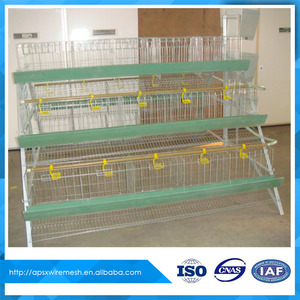 <span class=keywords><strong>Venta</strong></span> <span class=keywords><strong>de</strong></span> pollo <span class=keywords><strong>de</strong></span> cría en jaulas en batería en pakistán - Product Image 2