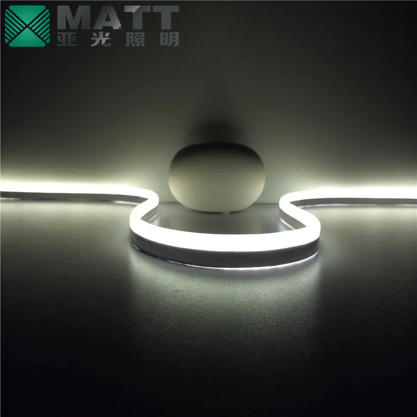 Matt Dropshipping No MOQ personalizza DC12V 24V IP67 mini strisce luminose al neon impermeabili per esterni a LED per edifici e insegne