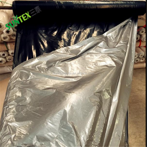 <span class=keywords><strong>Film</strong></span> plastique <span class=keywords><strong>de</strong></span> mulet, 1.0 Mil, plastique d'agriculture noir et argent avec trous pour balles à fraises - Product Image 3