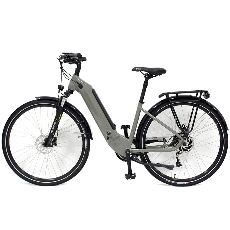 Promozione italian, Shopping online per italian promozionali - bici  gazzella.alibaba.com