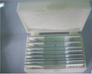 Portaobjetos de Vidrio de Alta Calidad para Enseñanza de Ciencias Médicas, Preparados con Hierbas Medicinales Chinas Lilium, a Bajo <span class=keywords><strong>Precio</strong></span> - Product Image 2