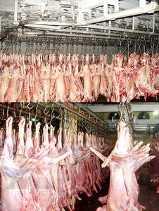 El Mejor <span class=keywords><strong>Precio</strong></span> <span class=keywords><strong>de</strong></span> acero inoxidable motorizado <span class=keywords><strong>de</strong></span> línea <span class=keywords><strong>de</strong></span> procesamiento con polea ganchos <span class=keywords><strong>para</strong></span> colgar ovejas en frío en la habitación - Product Image 4