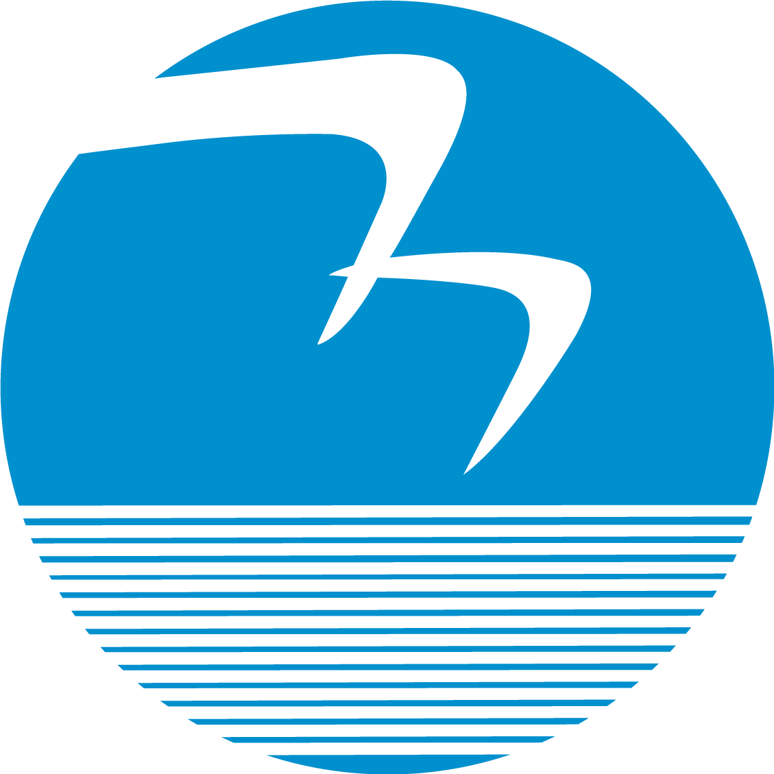 Shenzhen Binhai Electronics Co., Ltd.