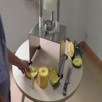 Pineapple Peeling Machine, Fruit Peeler, Manul