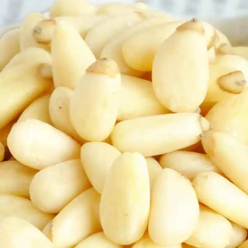 Factory Price Pine Nut Kernels Korean Pine Nut