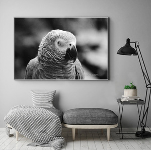 <strong>Parrot</strong> <strong>Canvas</strong> Print Wall <strong>Art</strong> With Frame - Product Image 2