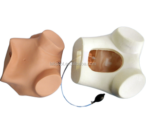 Kapsamlı Jinekolojik Muayene Eğitim Mankeni Çeşitli Serviks ve Uterus Modelleri - Product Image 4