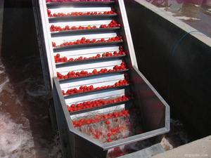 Ligne de production de la confiture de fruits, pour les pommes et les tomates, traitement de la pâte, m - Product Image 4