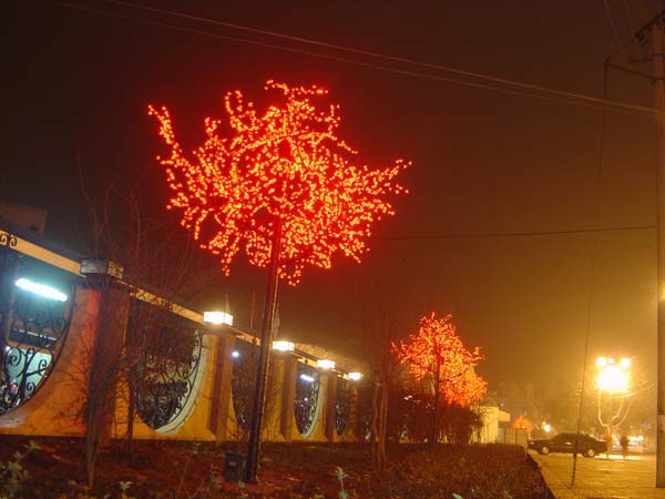 роёдественских наруёного привело дерево света
