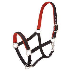 Cheval Équipements En Nylon Rembourré Licou avec Satin Matériel - Product Image 2