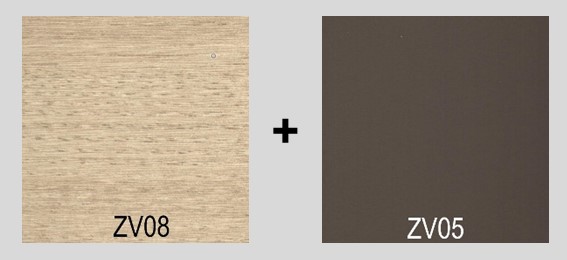 ZV08 + ZV05