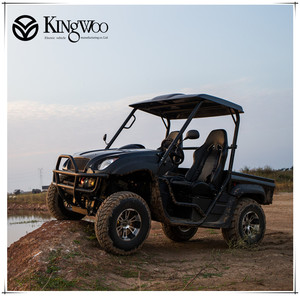 5000 와트 전기 UTV 해변 버기 가격 두 부드러운 좌석 UTV 판매 - Product Image 1