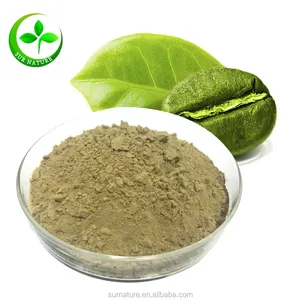 Bột Axit Chlorogenic Chiết Xuất Từ Hạt Cà Phê Xanh Cung Cấp Từ Nhà Máy Giá Tốt