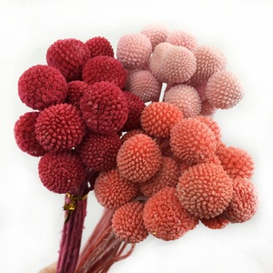 Boule d'or préservée <span class=keywords><strong>fleurs</strong></span> <span class=keywords><strong>séchées</strong></span> Billy boules boutons pour noël pâques décoration de la maison <span class=keywords><strong>Bouquet</strong></span> 20 pièces/paquet - Product Image 6