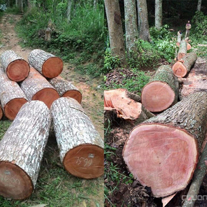 Nhà Máy Giá Indonesia Sonokeling/ Indonesia Gỗ - Product Image 1