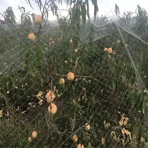 Ağır Anti Kuş Kafesleri, Geyik Çit, Gölet Net Korumak Bahçe Fideleri Sebze Meyve Bitkileri Havuzları