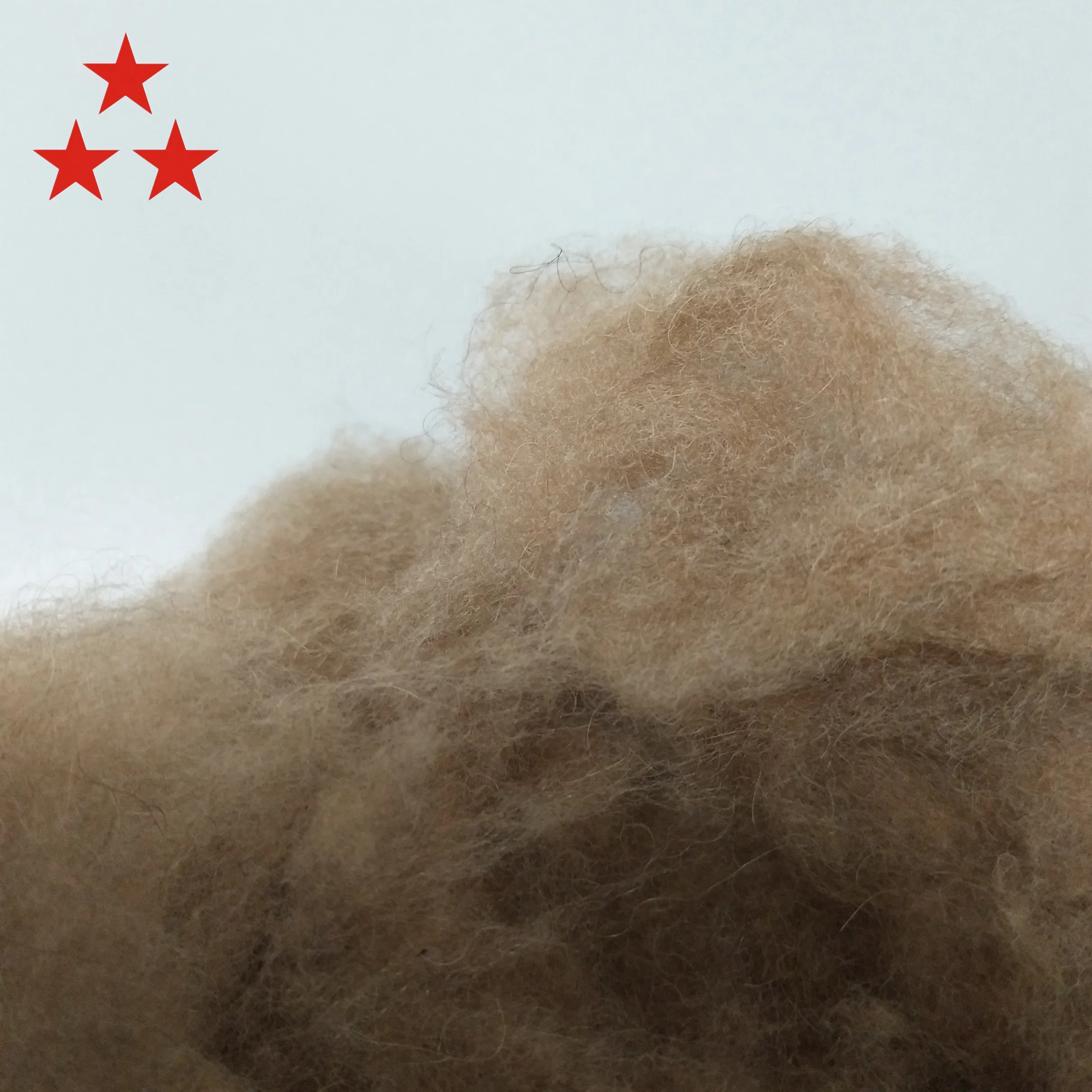 Cheveux en fibre de chameau, 2000mm, 18.5 micro, nouveau