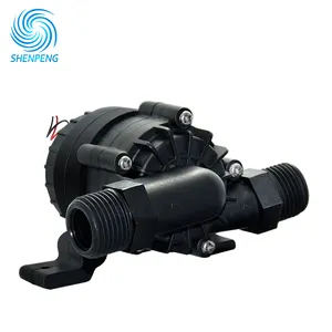 High Quality 12 Volt DC mini Water Pump With flow 10LPM Head 5M