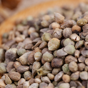 Hạt giống rau bina thân thiện với chim trong bao bì thực phẩm dành cho thú cưng - Product Image 5