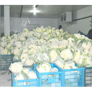 coliflor refrigerador pantalla cámaras frigoríficas para <span class=keywords><strong>el</strong></span> <span class=keywords><strong>restaurante</strong></span> - Product Image 2