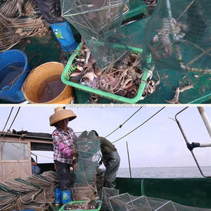<span class=keywords><strong>Cage</strong></span> de pêche au crabe en aquaculture offshore marine, filet de pêche au poisson-chat <span class=keywords><strong>à</strong></span> <span class=keywords><strong>vendre</strong></span> - Product Image 6