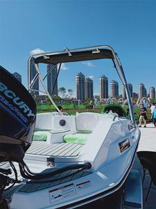 4.8 m scarabeo imbarcazioni sportive con il colore su misura e logo - Product Image 6