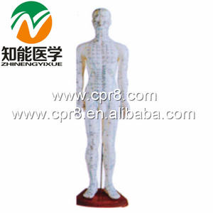 170 ซม.มาตรฐานเข็มจุดมนุษย์ฝังเข็มชุด - Product Image 3