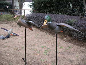 Thiết Kế Mới Săn Bắn Bay Vịt Mồi - Product Image 2