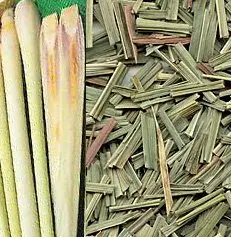 Herbes et épices secs de la chine, g, citronnelle, herbes, citronnelle, pour thé