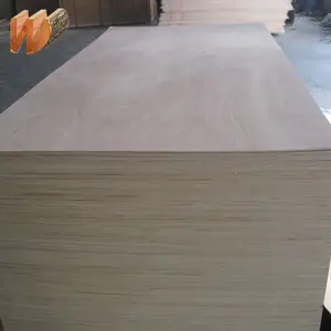 Plywood Maple