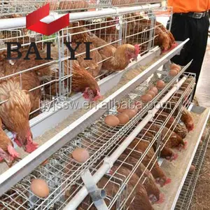 Hot Sale Layer Egg Chicken Cage / Poultry Farm House Design