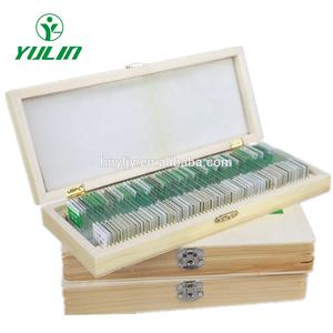 Meistverkaufte Farbige Histologie-Objektträger Universitätsbedarf 100 Normale Gewebesektionen Menschliches Blutfilm Vorbereitete Objektträger - Product Image 6