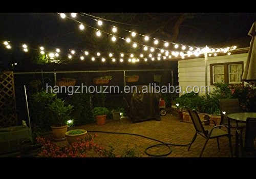 100ft G40 Globe String Lights with Bulbs for Outdoor/indoor